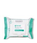Fresh Makeup Remover Wipes